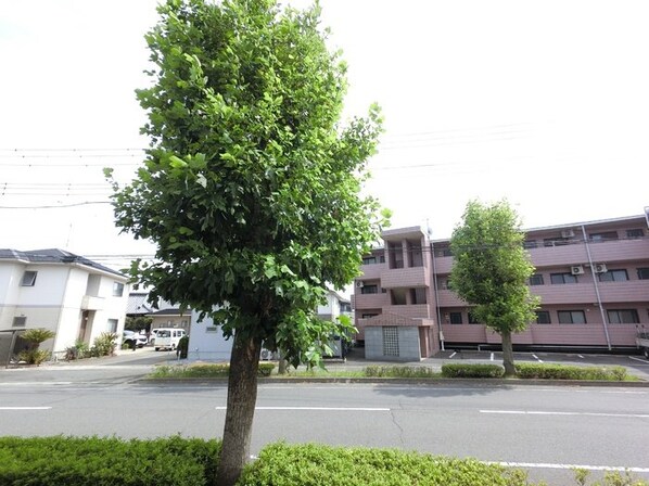 プルミエ・ラムール Aの物件内観写真